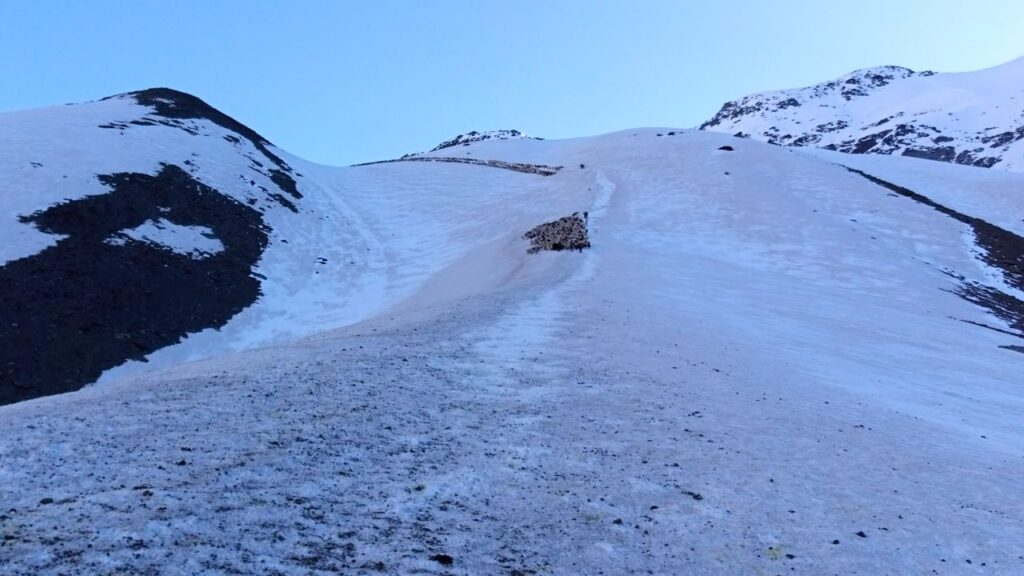 Chobia Pass Trek 1111