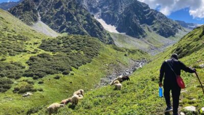 30 Beautiful Treks of Himachal Pradesh